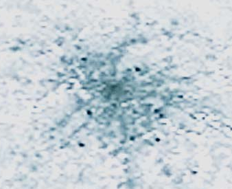 The city of Moscow in the IR range